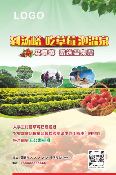 草莓采摘海报